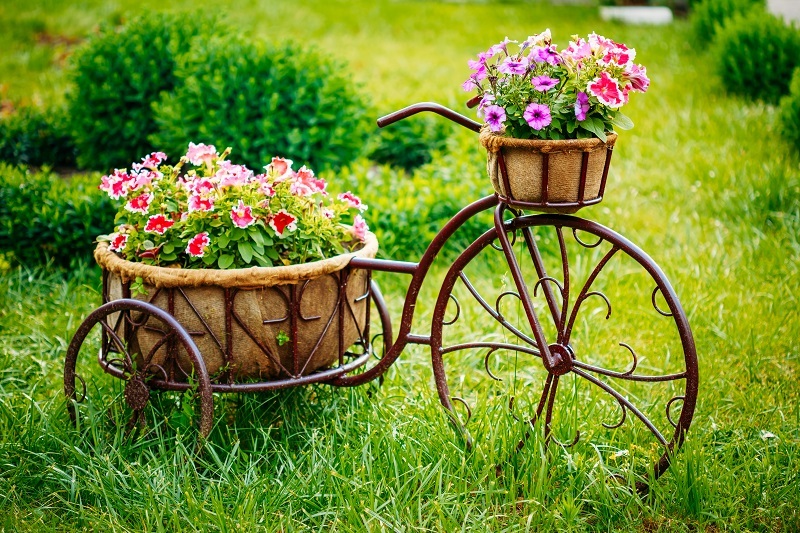 flowers flowers  / of flowers