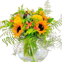 Sophisticated yet joyful, this North Ockendon floral arrangement captures the enchanting energy of late summer in the countryside. Placed in a perfectly clear glass vase, broad-faced sunflowers dominate with their radiant yellow petals and inky centers, echoing the wildflowers one might find along Clay Tye Road at the height of the season. Companioning them, garden roses in rich yellow spiral outward-petals layered in gentle, abundant whorls that feel both classic and contemporary. Jewels of vivid red Hypericum berries glisten within the greenery, catching the light and drawing the gaze. Cascading fern fronds and wispy goldenrod add texture, their delicate, dancing forms reminiscent of the nearby fields and hedgerows. Eucalyptus leaves sneak in a discreet note of bluish-green, imparting a refreshing, rustic scent. The vase reveals the stems crisscrossing cleanly in the water, underscoring the freshness and care that define each creation from North Ockendon's dedicated florists. This bouquet, ideal for birthdays, anniversaries, or simply brightening a corner of the home, brings an authentic touch of local nature indoors-celebrating the beauty and warmth of the North Ockendon community.